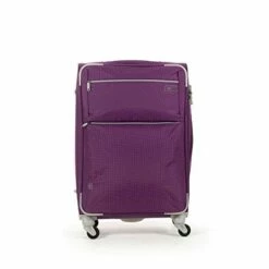 Cloe Checked Medium 24 Inch Water-Resistant Luggage With 360º-spinner Wheels In Purple Color