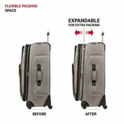 SwissGear Sion Softside Expandable Luggage, Pewter, Checked-Medium 25-Inch -TRAVELPRO Sales 41DRHJCloxL