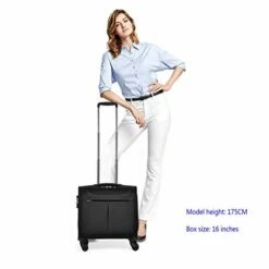 ZH Carry-On Luggage Business Travel Wheeled Rolling Laptop PC Tablet Computer Trolley Backpack, Suitcase Hand Luggage Cabin Approved Bag Lightweight For Trave Men Women -TRAVELPRO Sales 41PLlL AgxL