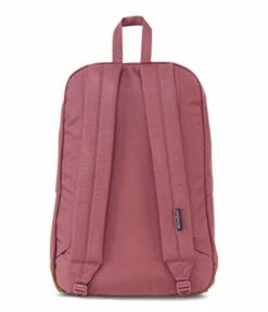JanSport Cortlandt, Slate Rose, One Size -TRAVELPRO Sales 41hQSDE7 EL