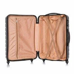 Apelila 5 Piece Luggage Sets,Travel Suitcase Spinner Hardshell Lightweight W/Free Suitcase Cover& Hanger (4PC Sliver W/Covers4+Hanger2+Backbag1) -TRAVELPRO Sales 51WbqKlnWsL