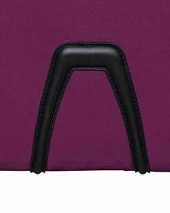 It Luggage Divinity Softside Expandable TSA Lock Spinner, Raspeberry Radiance, 3-PIece Set -TRAVELPRO Sales 51cBvZ9iWVL