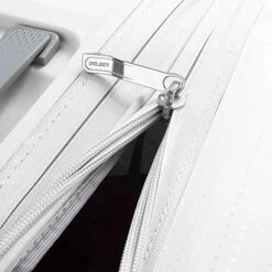 DELSEY Paris Clavel Hardside Expandable Luggage With Spinner Wheels, WHITE, Carry-On 19 Inch -TRAVELPRO Sales 51osaL0bBOL