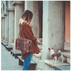 CO-Z Premium Vintage Luggage Set 24 Inches TSA Locks Wheel Suitcase With 12 Inches Hand Bag (Beige) -TRAVELPRO Sales 51tHrTVVg1S