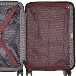 Delsey Paris Alexis Lightweight Luggage, Carry On Expandable Spinner Double Wheel Hardshell Suitcases With TSA Lock -TRAVELPRO Sales 61PIrYptqxL abe5fa60 3c85 4535 841f 170013ebbe64