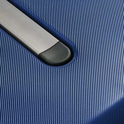 DELSEY Paris Cactus Hardside Luggage With Spinner Wheels, Navy, Checked-Medium 24 Inch -TRAVELPRO Sales 61UnN8UgiAL